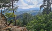 Randonnée Marche Rombach-le-Franc - Col de Schlingoutte - Photo 14