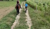 Trail Horseback riding Entrelacs - Crosagny 15.08.2019 - Photo 5