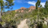 Trail Mountain bike Les Adrets-de-l'Estérel - Esterel 6 : Fait 01/04/23 TB tour de l'Esterel par singles et DFCI - Photo 14