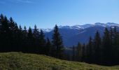 Excursión Marcha nórdica Ayent - Anzère et retour  - Photo 1