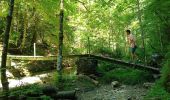 Trail Walking Engins - Les gorges du Bruyant - Photo 4