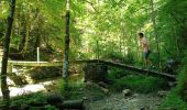 Randonnée Marche Engins - Les gorges du Bruyant - Photo 4