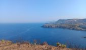 Trail Walking Banyuls-sur-Mer - cap del troc . coll de gran bau . cap réderis . retour par le chemin du littoral  - Photo 6