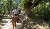 Trail Horseback riding Simiane-la-Rotonde - Provence 2025 J4 - Photo 4