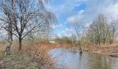 Tocht Stappen Ostheim - Le long de la rivière Fecht à Ostheim en France - Photo 1