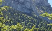 Tour Wandern Monestier-d'Ambel - croix de la plaigni - Photo 10