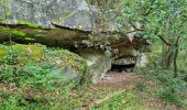 Excursión Senderismo Chamarande - Lardy - Le Lièvre d'Or - Photo 20