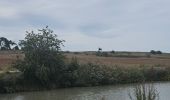 Percorso Bici da strada Saint-Nazaire-d'Aude - Canal du midi étape 4 - Photo 4