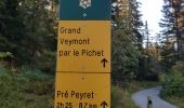 Tour Wandern Saint-Agnan-en-Vercors - Pas des chatons  depuis la coche - Photo 5