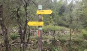 Trail Walking Le Thoronet - Le chemin des moines - Photo 1