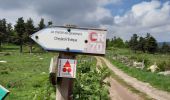 Tour Wandern Cheylard-l'Évêque - gr 70 stephenson sagne rousse-> cheylard l'évêque  - Photo 2