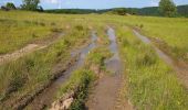 Tour Zu Fuß Unknown - Landshuter Höhenwanderweg - Photo 6