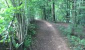 Trail Walking Durbuy - Villers - Photo 9