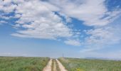 Trail Walking Gréoux-les-Bains - Marchand de nuages court - Photo 3