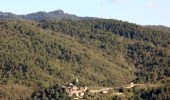 Trail On foot Gaiole in Chianti - Trekking tra i castelli 2 - Photo 5