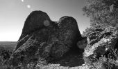 Excursión Senderismo Roquebrune-sur-Argens - La Bouverie - Bayonne - La Forteresse - Col Pierre du Coucou - Forêt de Raphèle - Photo 5