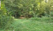 Tour Wandern Ibingen - Prire par Bizeury - Photo 1