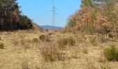 Tour Wandern Saint-Cézaire-sur-Siagne - Incursion dans le Var et retour depuis Saint Cezaire - Photo 7