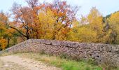 Percorso Marcia Lorgues - SityTrail - Le hameau de Sauveclare - Photo 4