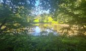Tour Wandern Großmenglatt - Rando des Marcheurs du 7 Août 2025..Grosmagny - Photo 10
