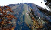 Trail On foot District of Bardejov - Priehyby - Photo 10