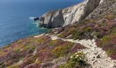 Trail Walking Crozon - Cap de la Chevre  - Photo 13