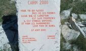 Randonnée Marche Cruis - cruis.  Le jas neuf .Le cairn 2000 - Photo 3