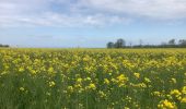 Trail Walking Tracy-sur-Mer - Arromanches / le chaos - Photo 1