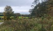 Excursión Senderismo Riemst - jour de ras le bol et de temps de merde  - Photo 8