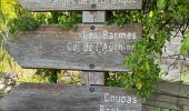 Trail Walking Lantosque - Granges de la Brasque  - Photo 19