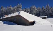 Trail Cross-country skiing La Rippe - germine - Photo 10