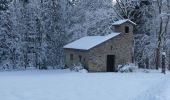 Tocht Te voet Bièvre - Se mouvoir et s'émouvoir au gré de l'Ardenne insoupçonnée. Parcours complet - Photo 18