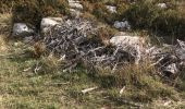 Excursión Senderismo Moustiers-Sainte-Marie - Bivouac tatanka - Photo 1