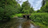 Tocht Stappen Vresse-sur-Semois - Promenade de la Roche à Campa - Orchimont - Photo 4