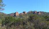Percorso Marcia Roquebrune-sur-Argens - Grottes de La Bouverie  - Photo 2
