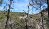 Trail Walking Beaurecueil - Barrage du Bimont et barrage Zola  - Photo 3