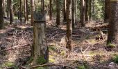 Tour Elektrofahrrad Ostwald - Stèle , Lancaster. - Photo 18