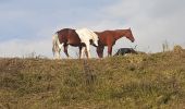 Tocht Stappen Les Mollettes - st helene boucle G1 - Photo 6