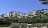 Percorso Marcia Mérindol - Les gorges de regallon à partir de Merinol - Photo 1