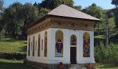 Percorso A piedi Călimănești - sat Căciulata (C.N.I.P.T.) - valea Păușa - Mănăstirea Stânișoara - Photo 10