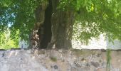 Trail Walking Saint-Martin-d'Uriage - St Niez d'Uriage - Photo 1