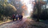 Trail Walking Chevreuse - chevreuse - Photo 1