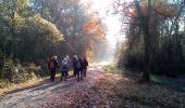 Percorso Marcia Chevreuse - chevreuse - Photo 1