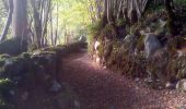 Tour Wandern Capoulet-et-Junac - Tour de la bouiche de Gesties - Photo 11