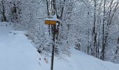 Trail Walking Les Deux Alpes - Le Garcin- Deux Alpes - Photo 3