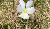 Trail Walking Revel - Lac du Crozet - Photo 1