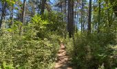 Tour Wandern Mayres-Savel - Randonnée des passerelles  - Photo 6