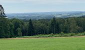 Tocht Stappen La Roche-en-Ardenne - Samree-maboge-Samree - Photo 3