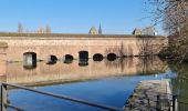 Randonnée Marche Strasbourg - Le tour de la grande isle  - Photo 1