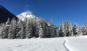 Tocht Sneeuwschoenen Orsières - Champex Lac - Arpette - Champex Lac - Photo 8